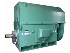 YE2-315L1-10Y系列6KV高压电机