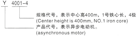 西安泰富西玛Y系列(H355-1000)高压YE2-315L1-10三相异步电机型号说明