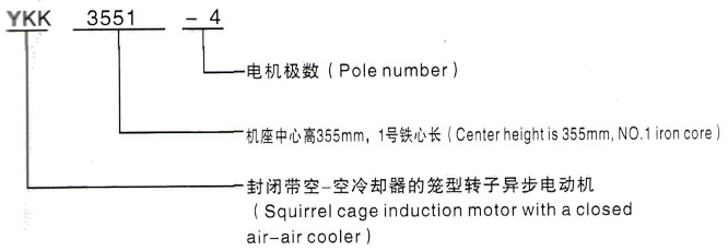 YKK系列(H355-1000)高压YE2-315L1-10三相异步电机西安泰富西玛电机型号说明