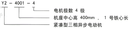 YR系列(H355-1000)高压YE2-315L1-10三相异步电机西安西玛电机型号说明